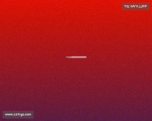 imsa赛事和勒芒赛事是什么关系